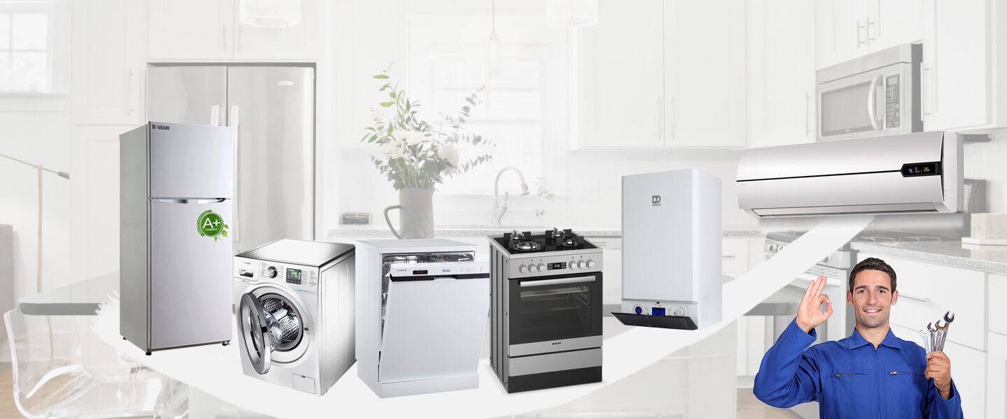Sancaktepe Dominox Servisi